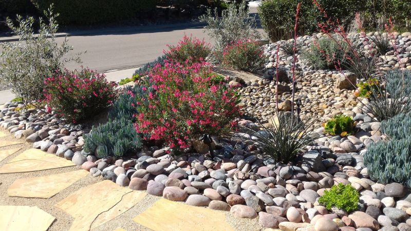 Dryscape Landscaping in Honolulu, HI