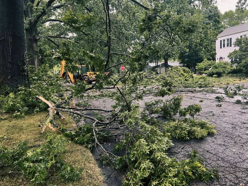 Post-Storm Cleanup