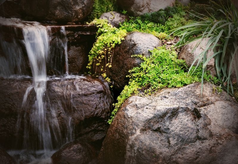 Waterfall Landscaping in Honolulu, HI
